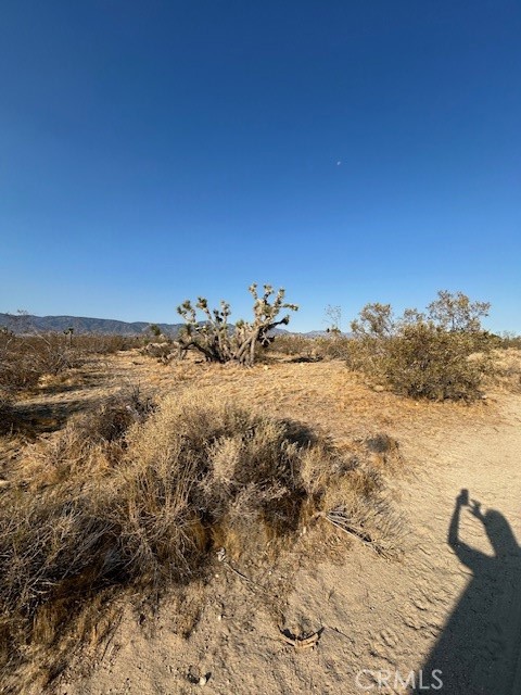 0 East E Avenue Llano, CA 93544 - Photo 2 of 6