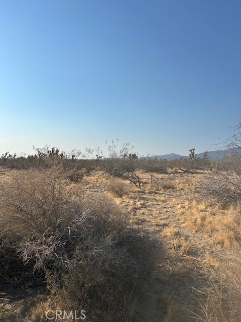 0 East E Avenue Llano, CA 93544 - Photo 4 of 6