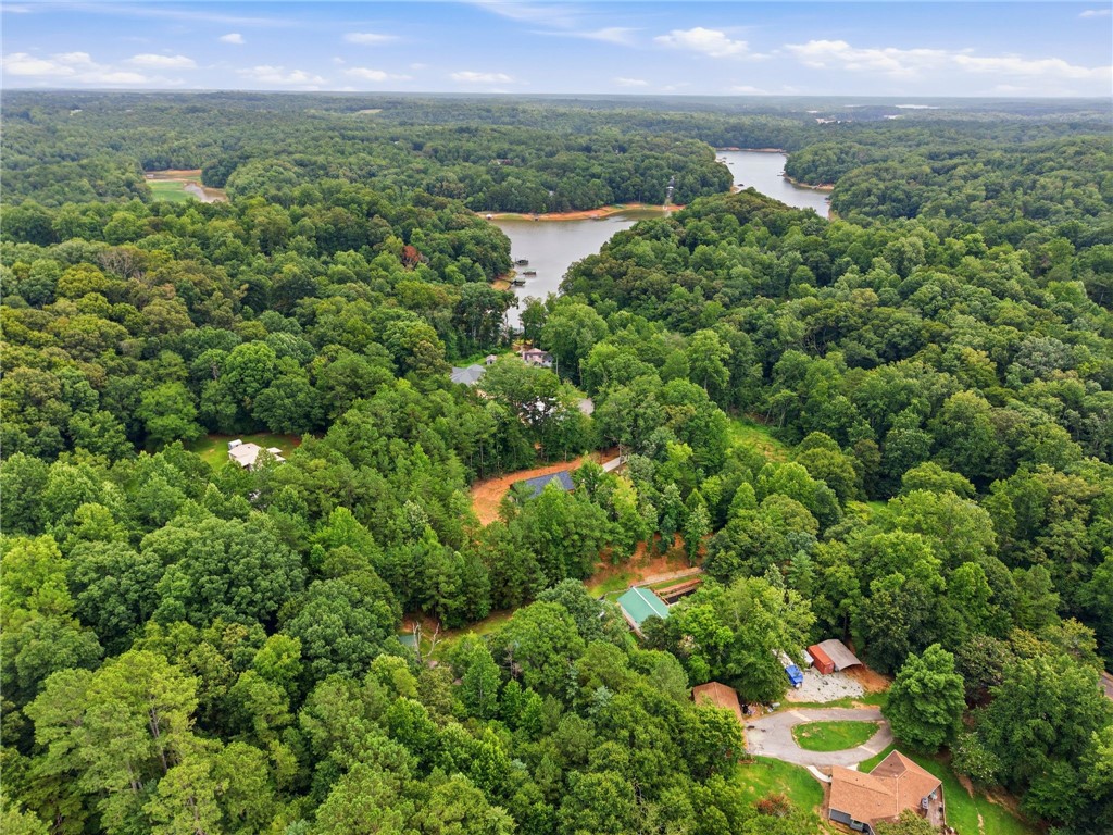 641 Lands End Road Seneca, SC 29678 - Photo 35 of 39 An aerial panorama reveals a vast, tree-canopied landscape embracing a serene lake with scattered residential properties.