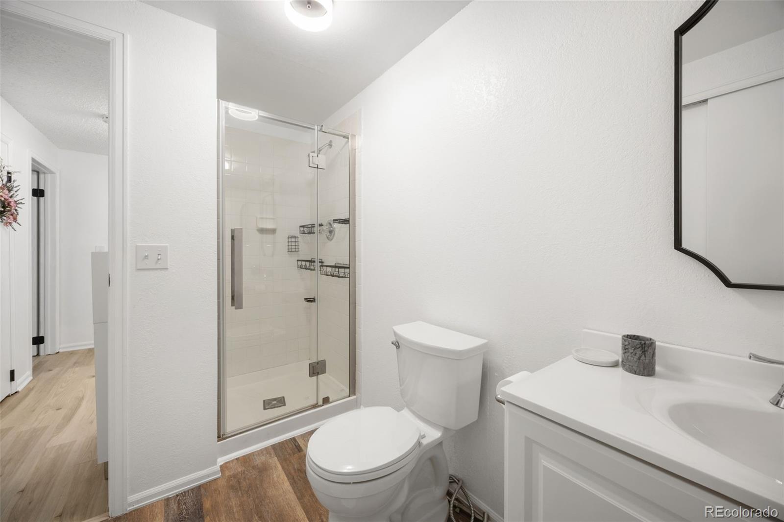 381 Mountain Cloud Circle Highlands Ranch, CO 80126 - Photo 22 of 33