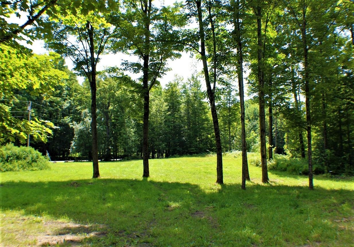 2000 Country Club Road Plainfield, VT 05667 - Photo 4 of 11 Gallery Image 4