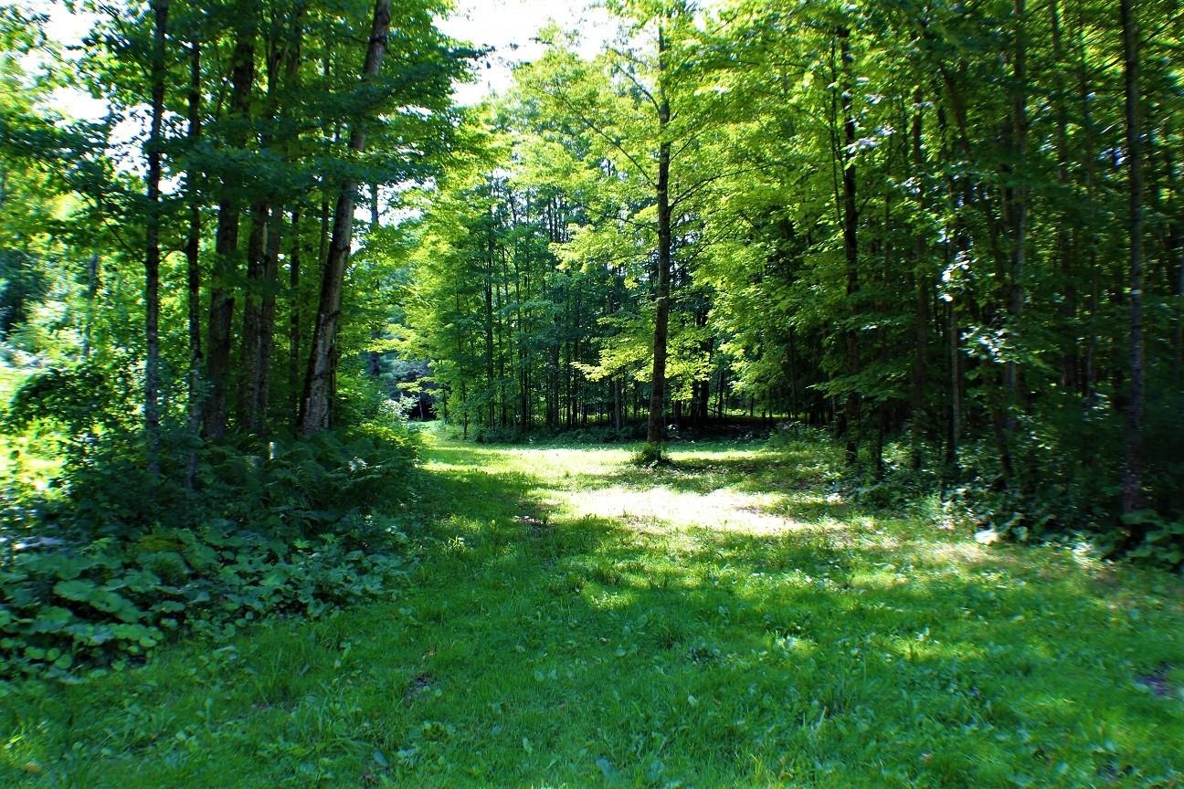 2000 Country Club Road Plainfield, VT 05667 - Photo 7 of 11 Gallery Image 7