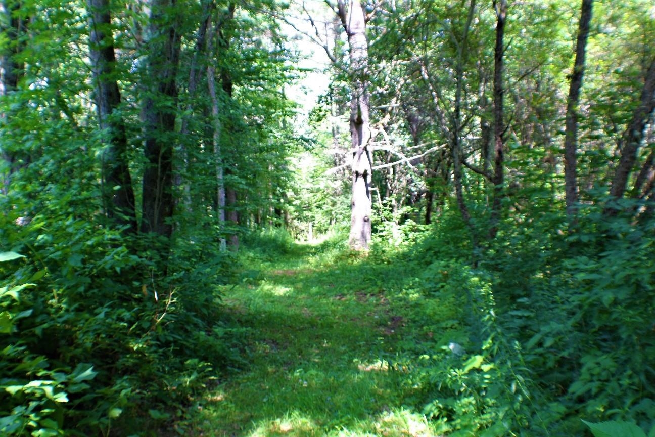 2000 Country Club Road Plainfield, VT 05667 - Photo 8 of 11 Gallery Image 8