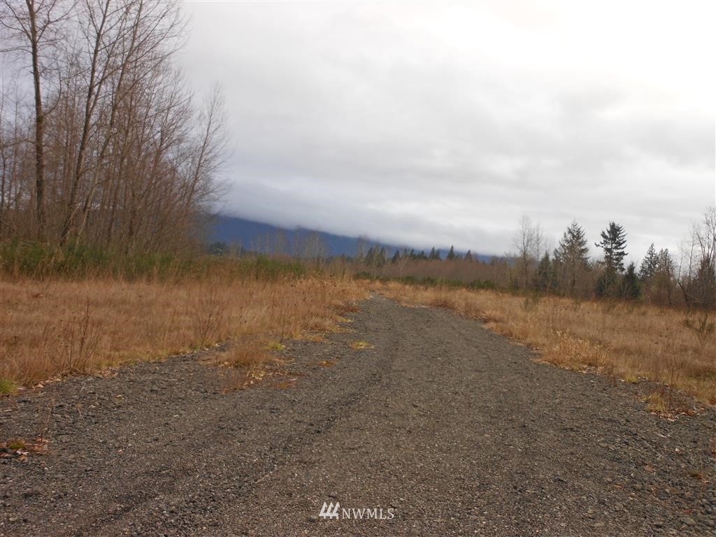 126 Savio Road East Randle, WA 98377 - Photo 1 of 6 Gallery Image 1