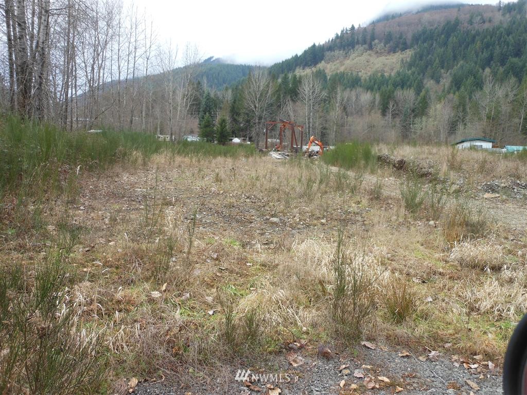 126 Savio Road East Randle, WA 98377 - Photo 4 of 6 Gallery Image 4