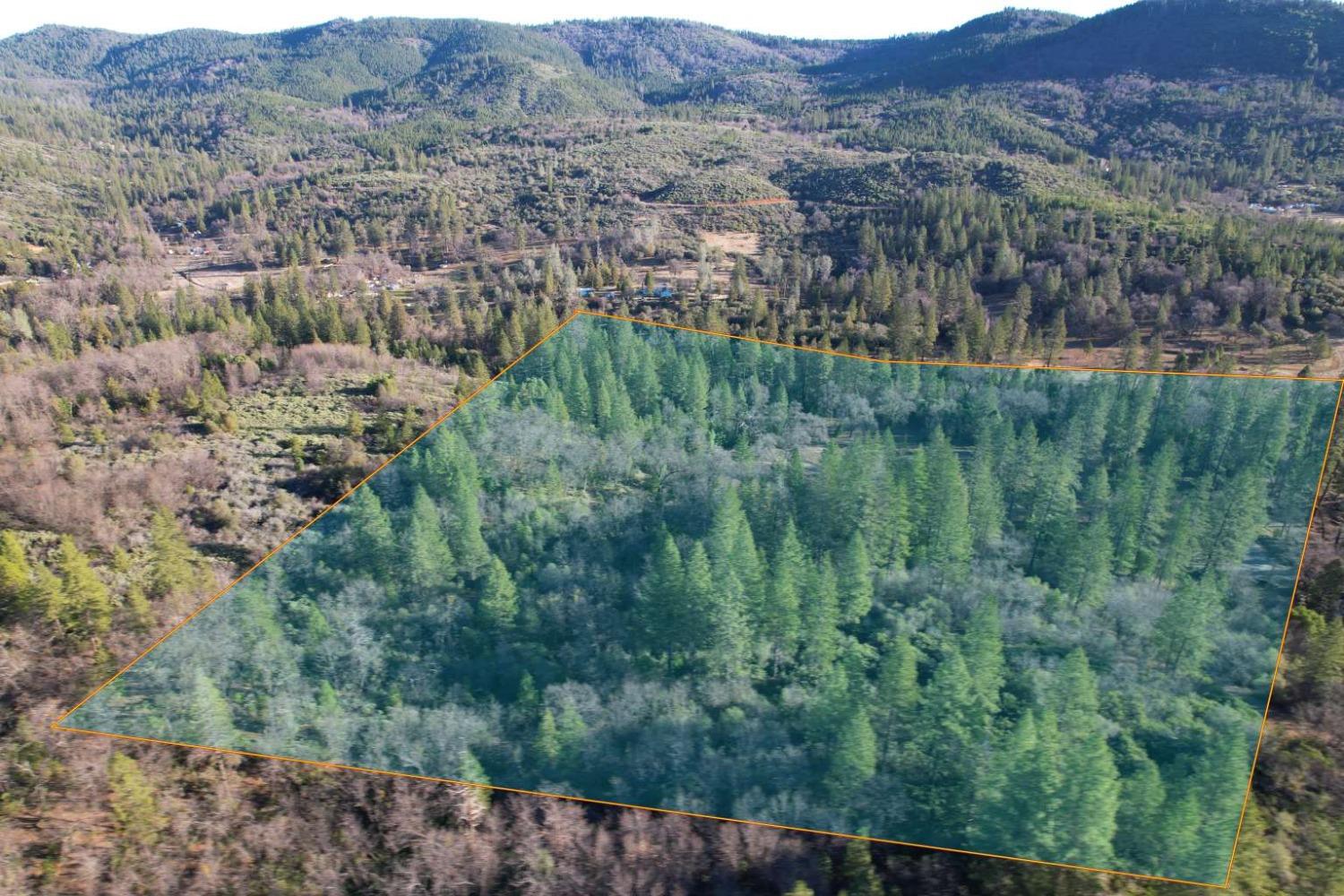 a view of a lush green hillside and houses