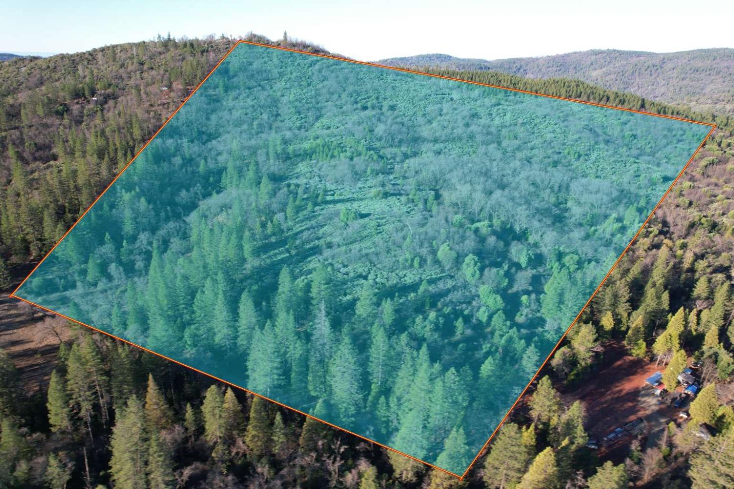 15944 Indiana Ranch Road Brownsville, CA 95919 - Photo 2 of 10 a view of a lush green forest from a balcony