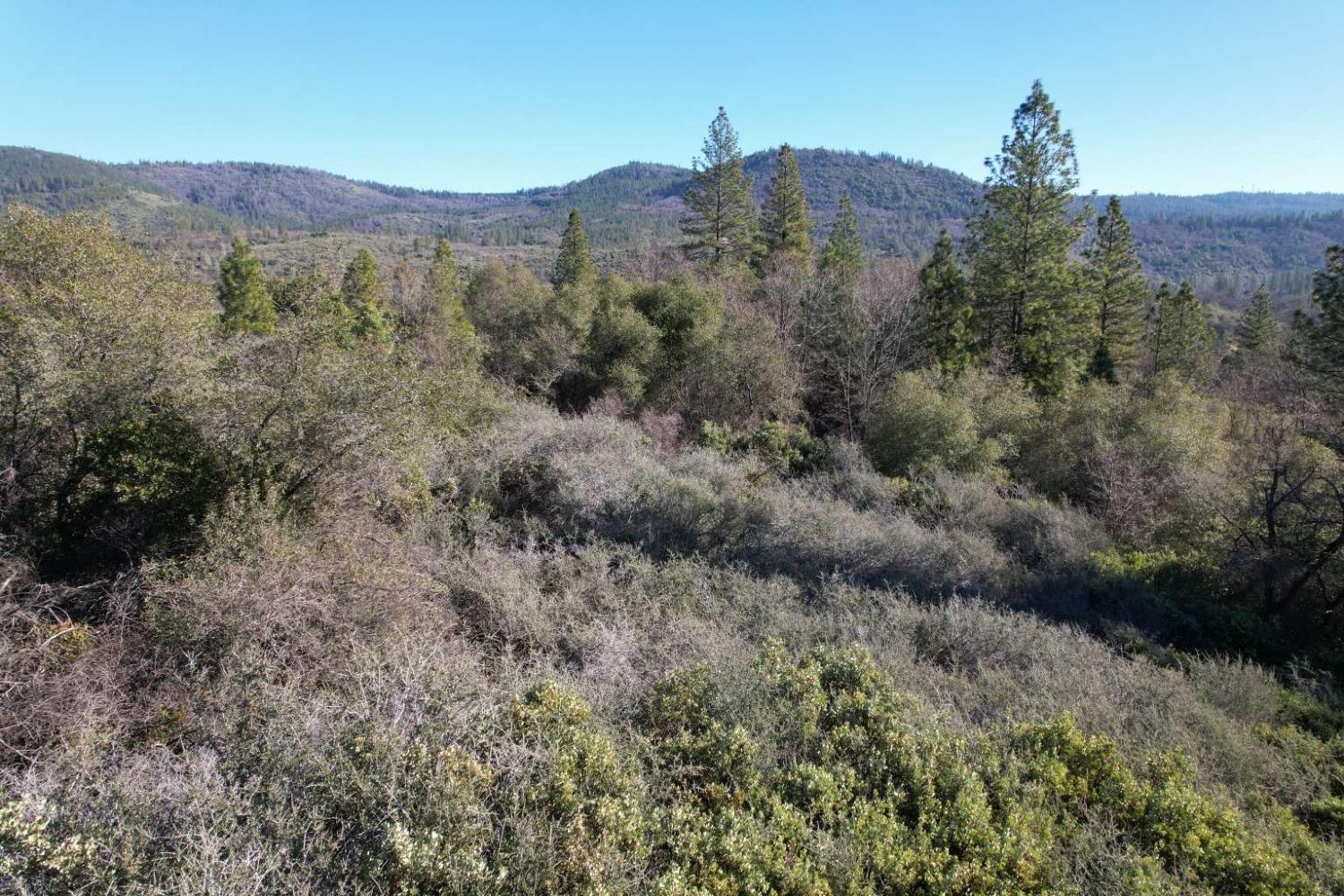 15944 Indiana Ranch Road Brownsville, CA 95919 - Photo 4 of 10 a view of a forest with mountains in the background