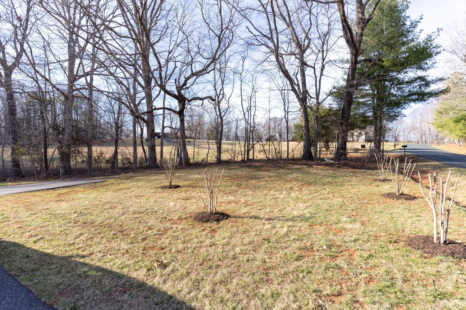 2659 Chilton Road Appomattox, VA 24522 - Photo 37 of 55