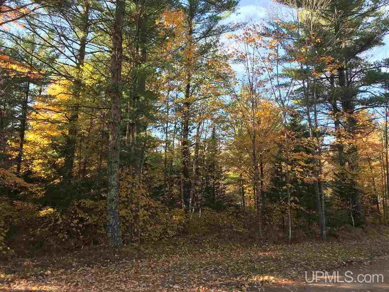 T-wi Brule Landing Road Florence, WI 54121 - Photo 1 of 1
