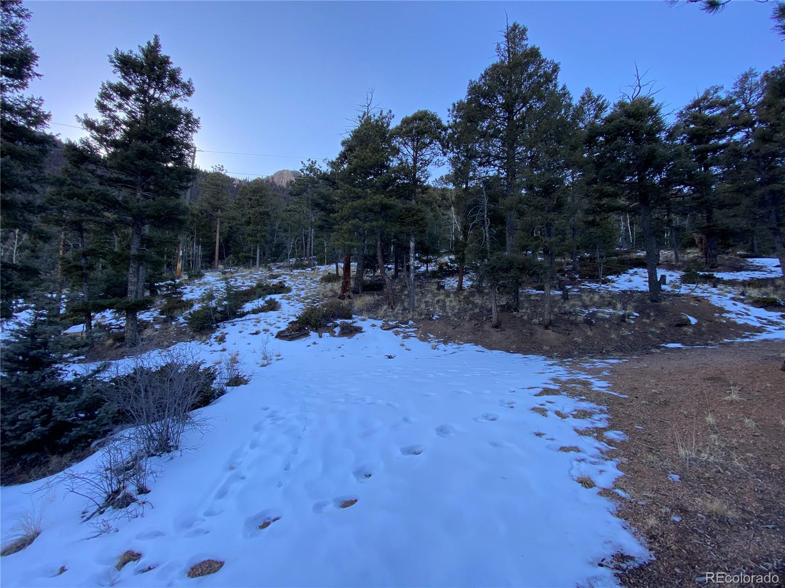 326 Forest Road Manitou Springs, CO 80829 - Photo 6 of 16 Gallery Image 6