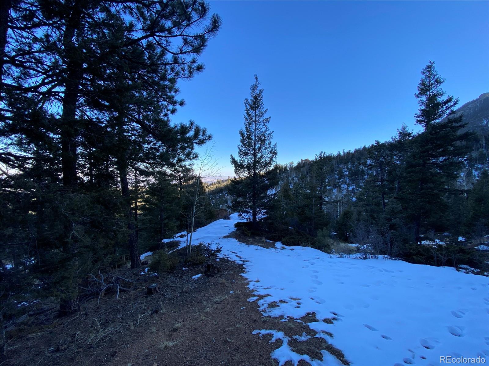 326 Forest Road Manitou Springs, CO 80829 - Photo 8 of 16 Gallery Image 8