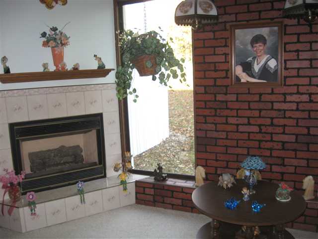 16040 Moline Road Lyndon, IL 61261 - Photo 8 of 12