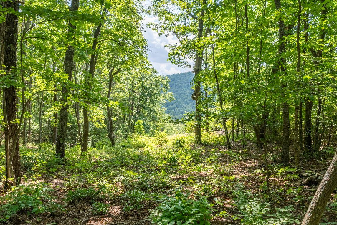 Lot 64 Shivas North Rising Fawn Ga 30738, Unit 64 Rising Fawn, GA 30738 - Photo 2 of 25 9