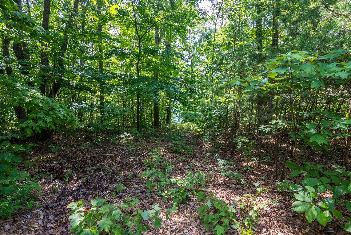 Lot 64 Shivas North Rising Fawn Ga 30738, Unit 64 Rising Fawn, GA 30738 - Photo 11 of 25 1