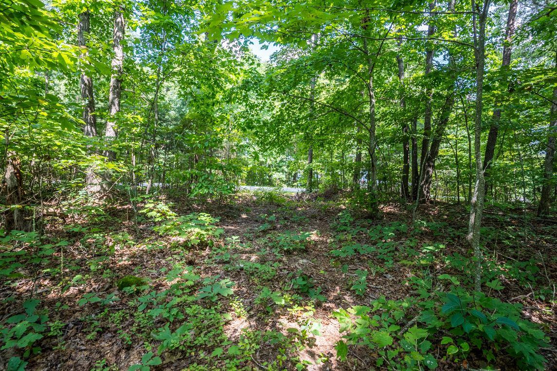 Lot 64 Shivas North Rising Fawn Ga 30738, Unit 64 Rising Fawn, GA 30738 - Photo 12 of 25 2