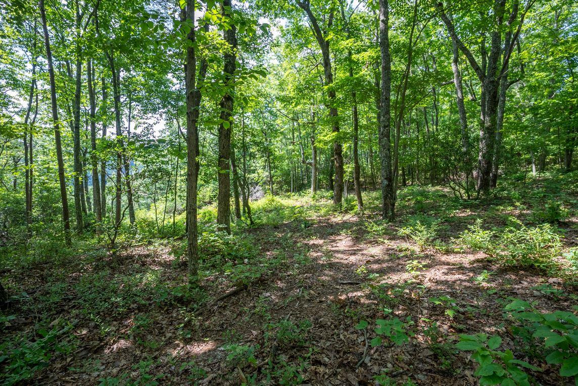 Lot 64 Shivas North Rising Fawn Ga 30738, Unit 64 Rising Fawn, GA 30738 - Photo 13 of 25 5