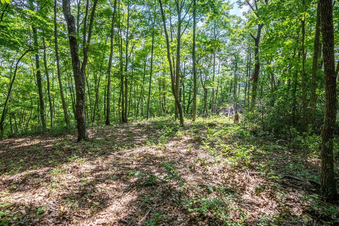 Lot 64 Shivas North Rising Fawn Ga 30738, Unit 64 Rising Fawn, GA 30738 - Photo 14 of 25 6