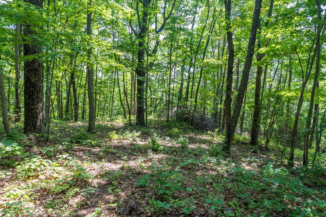 Lot 64 Shivas North Rising Fawn Ga 30738, Unit 64 Rising Fawn, GA 30738 - Photo 15 of 25 7