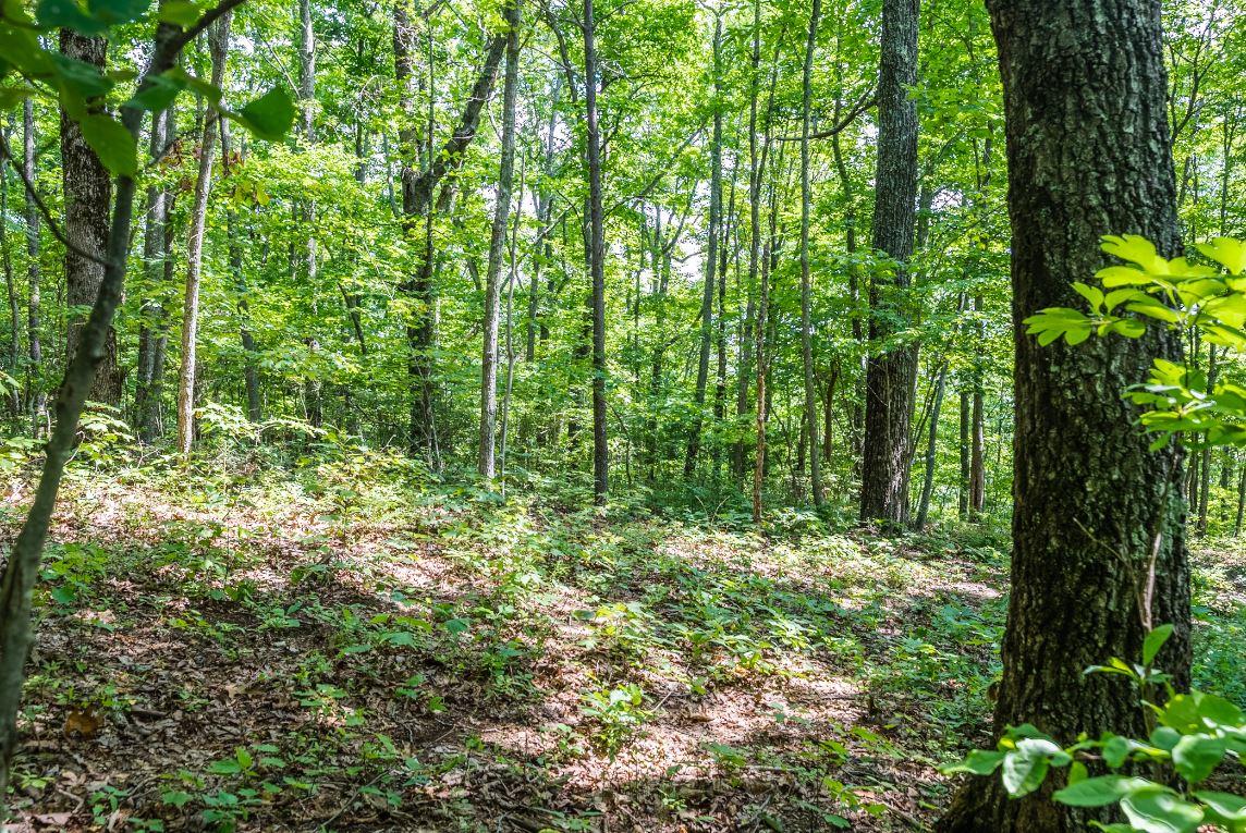Lot 64 Shivas North Rising Fawn Ga 30738, Unit 64 Rising Fawn, GA 30738 - Photo 16 of 25 8