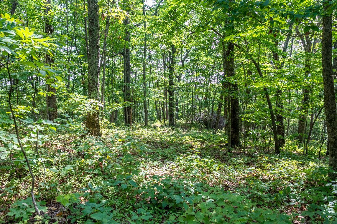 Lot 64 Shivas North Rising Fawn Ga 30738, Unit 64 Rising Fawn, GA 30738 - Photo 17 of 25 10
