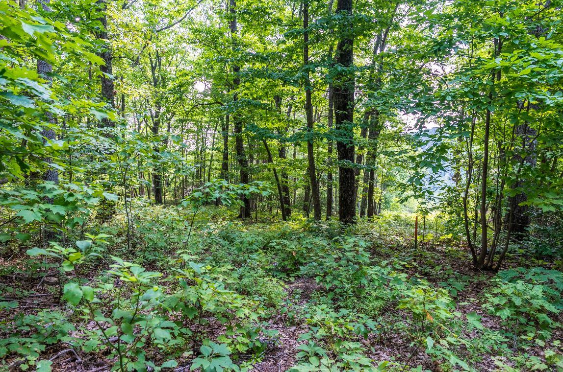 Lot 64 Shivas North Rising Fawn Ga 30738, Unit 64 Rising Fawn, GA 30738 - Photo 18 of 25 11