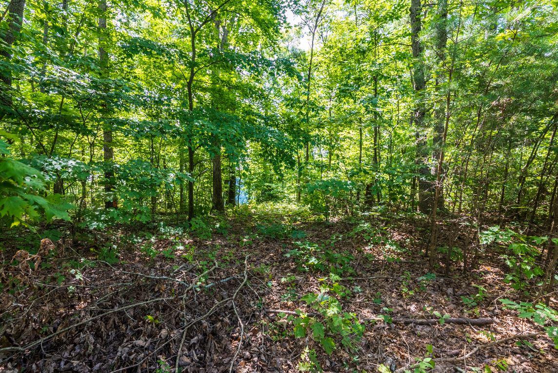 Lot 64 Shivas North Rising Fawn Ga 30738, Unit 64 Rising Fawn, GA 30738 - Photo 20 of 25 13