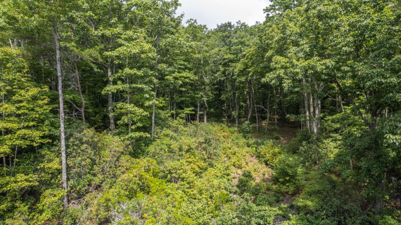 Lot 64 Shivas North Rising Fawn Ga 30738, Unit 64 Rising Fawn, GA 30738 - Photo 22 of 25 22