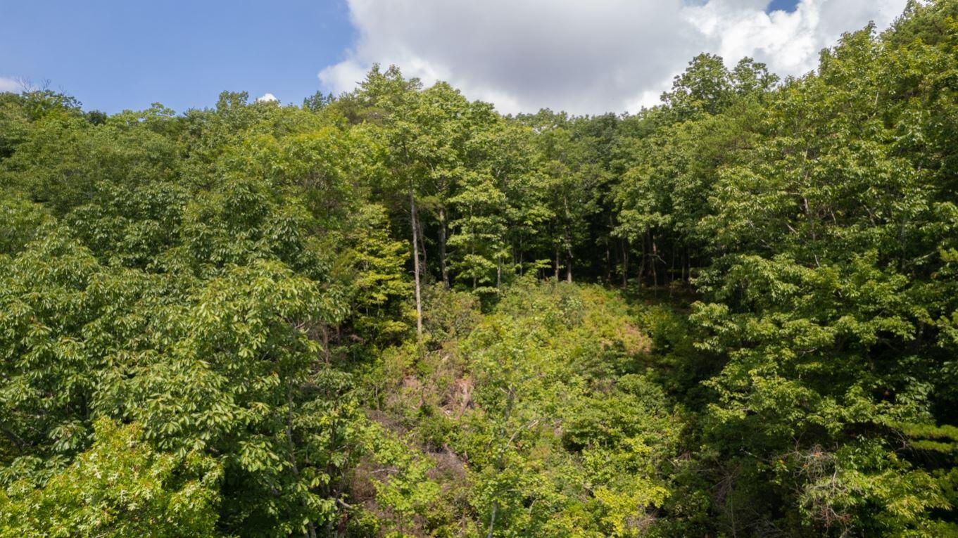 Lot 64 Shivas North Rising Fawn Ga 30738, Unit 64 Rising Fawn, GA 30738 - Photo 23 of 25 23