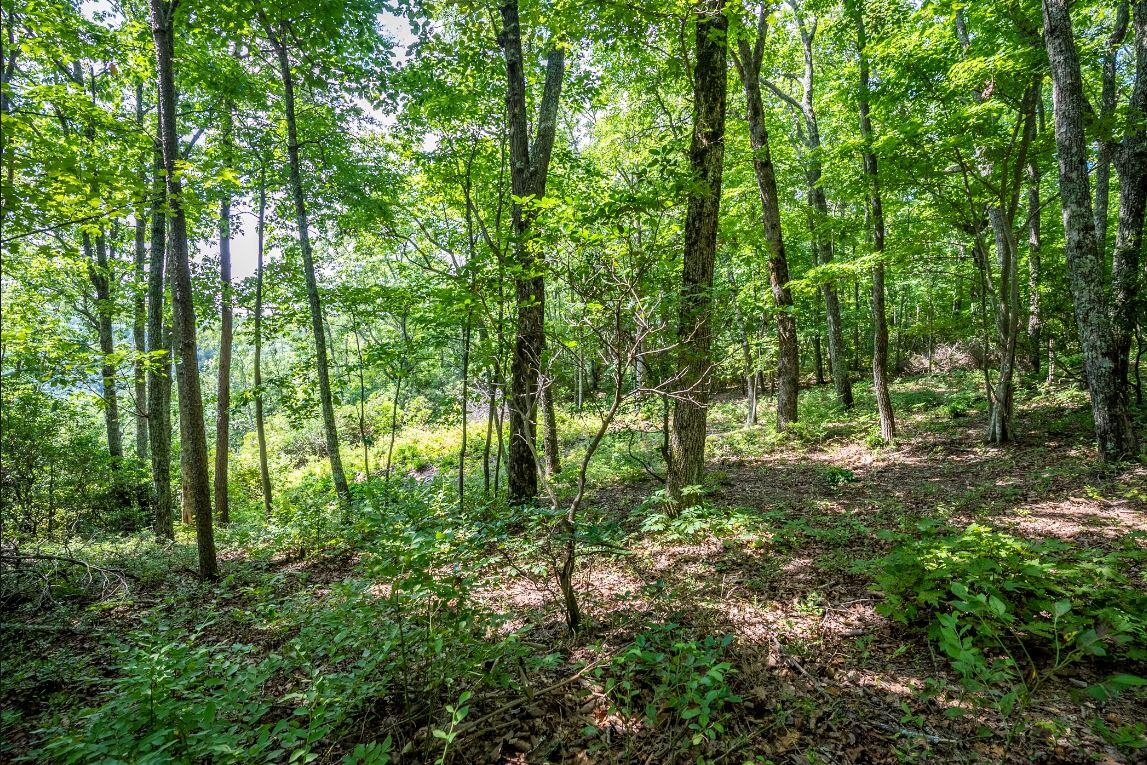 Lot 64 Shivas North Rising Fawn Ga 30738, Unit 64 Rising Fawn, GA 30738 - Photo 5 of 25 3