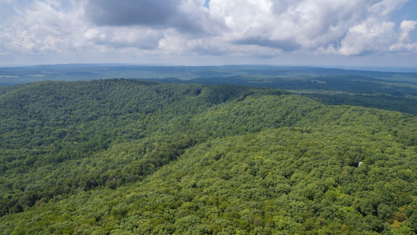 Lot 64 Shivas North Rising Fawn Ga 30738, Unit 64 Rising Fawn, GA 30738 - Photo 6 of 25 14
