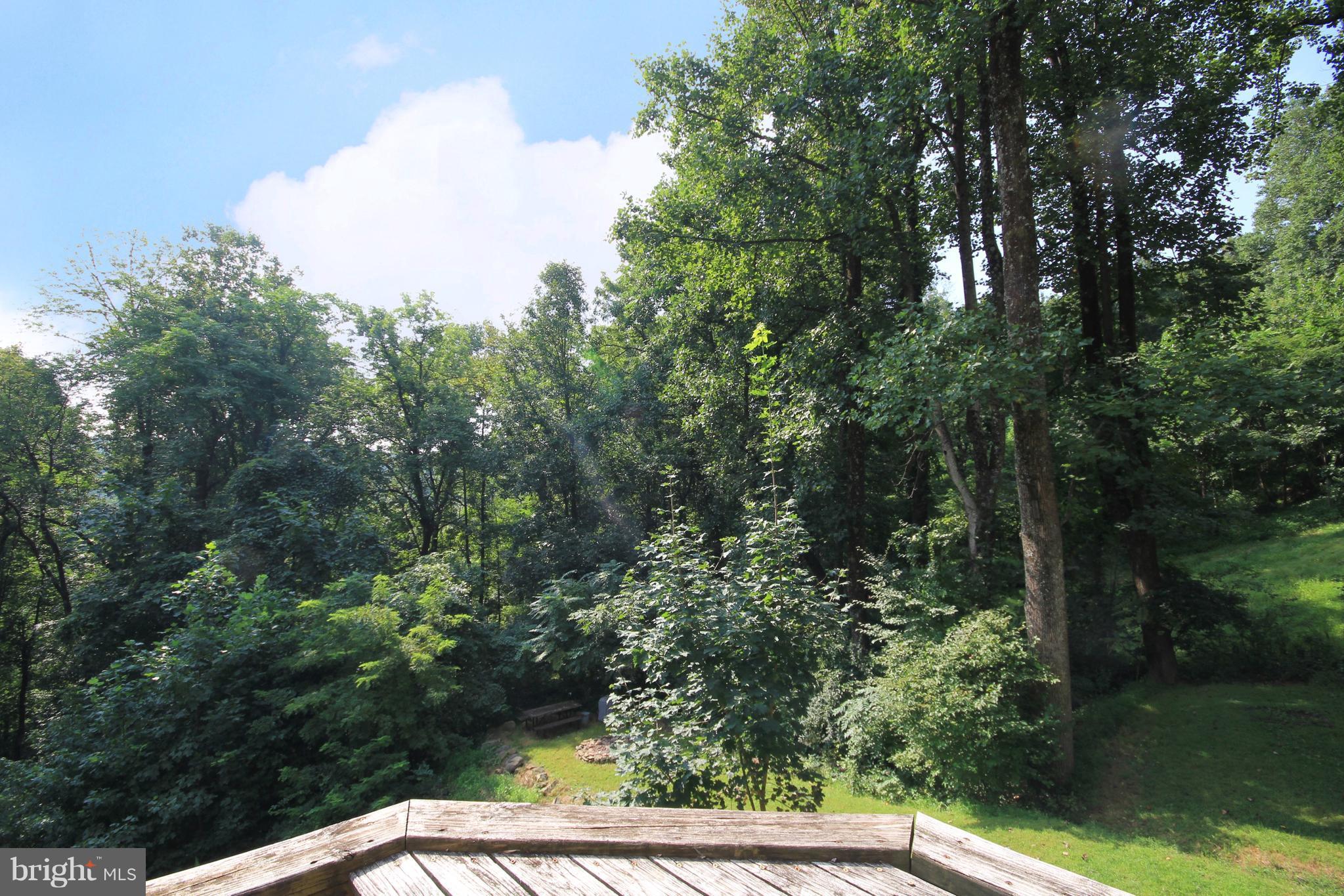 746 High Top Road Linden, VA 22642 - Photo 22 of 30 Overlooking Woods