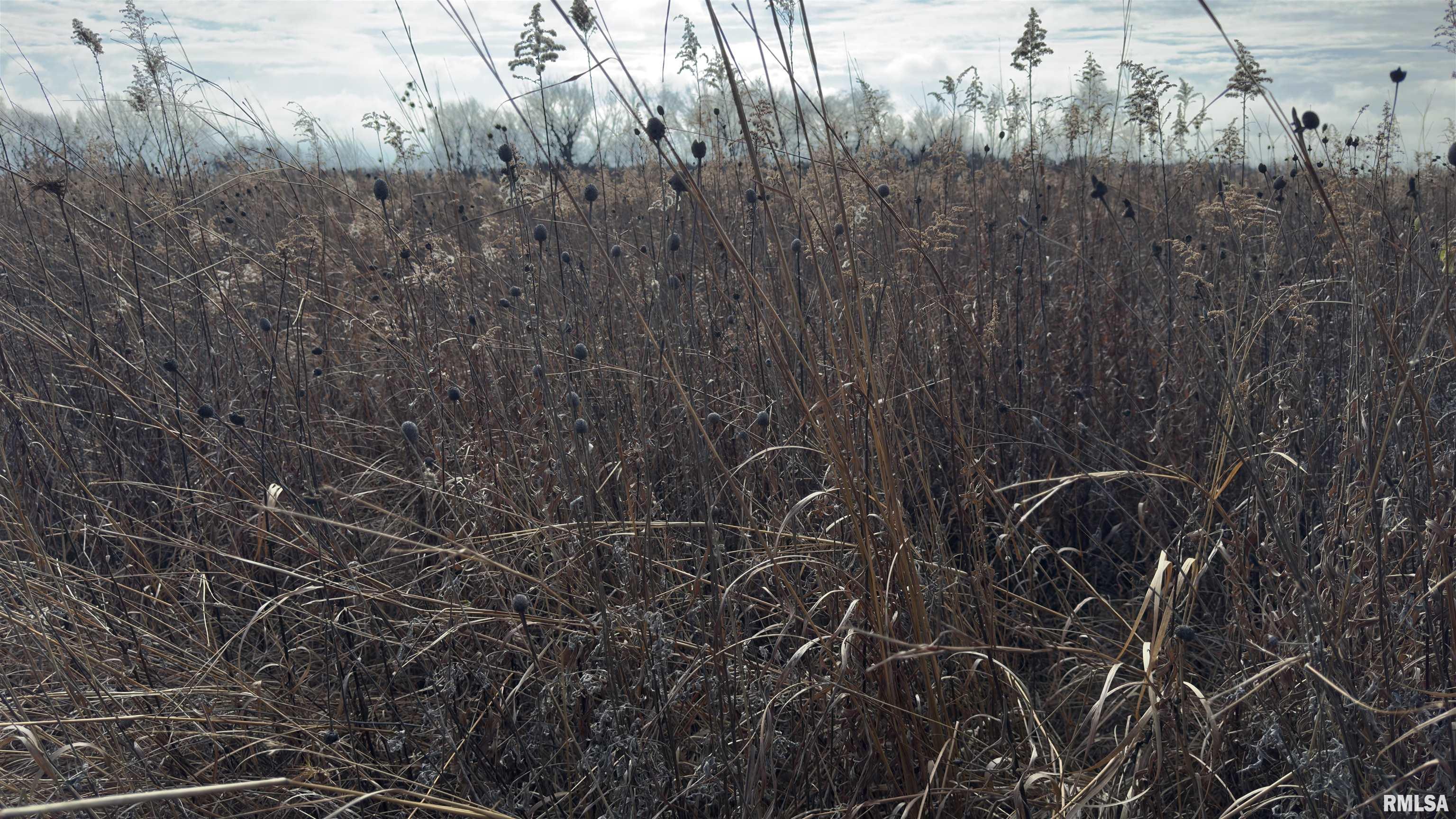 Timber Road Kewanee, IL 61443 - Photo 11 of 27