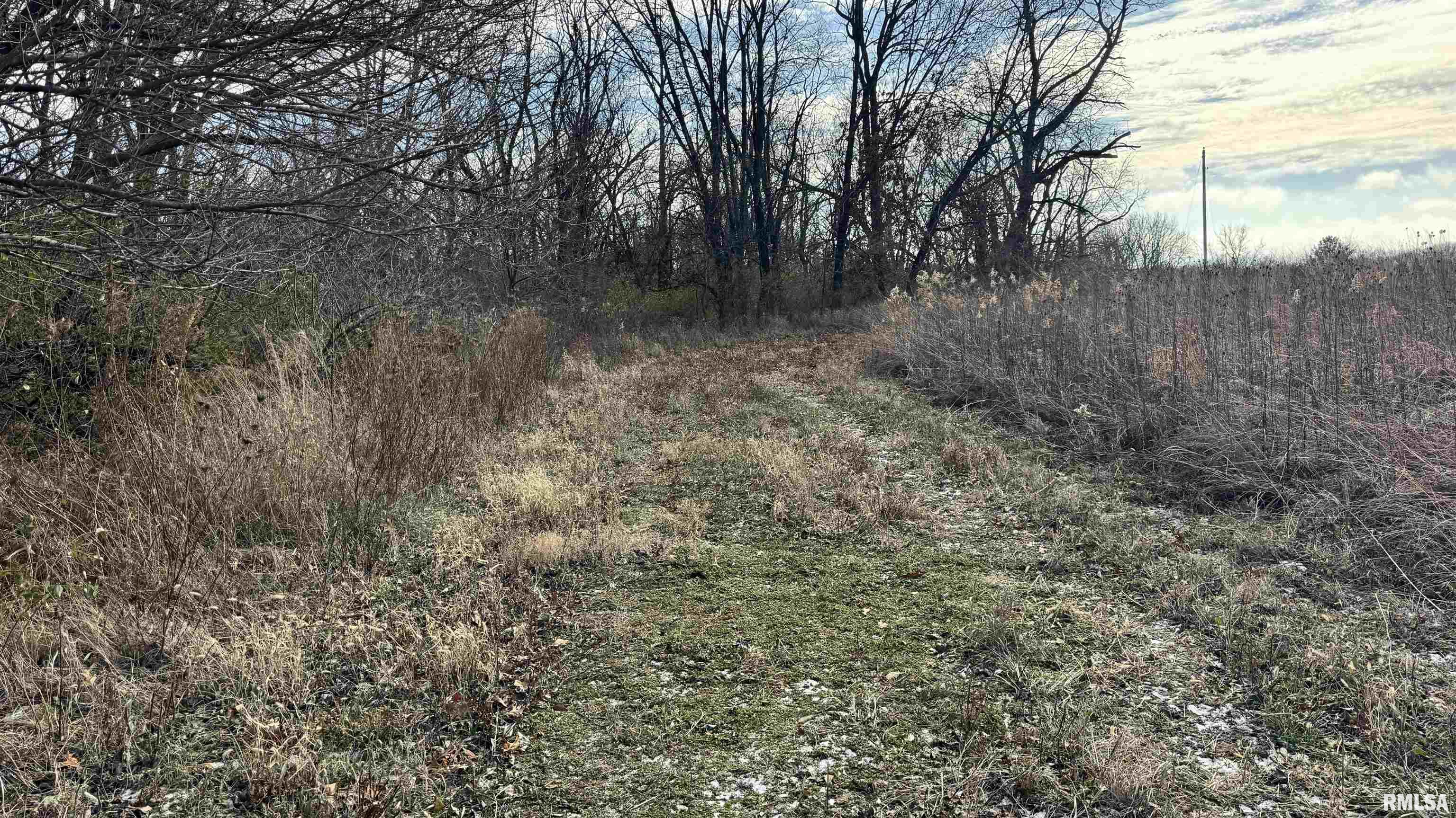 Timber Road Kewanee, IL 61443 - Photo 13 of 27