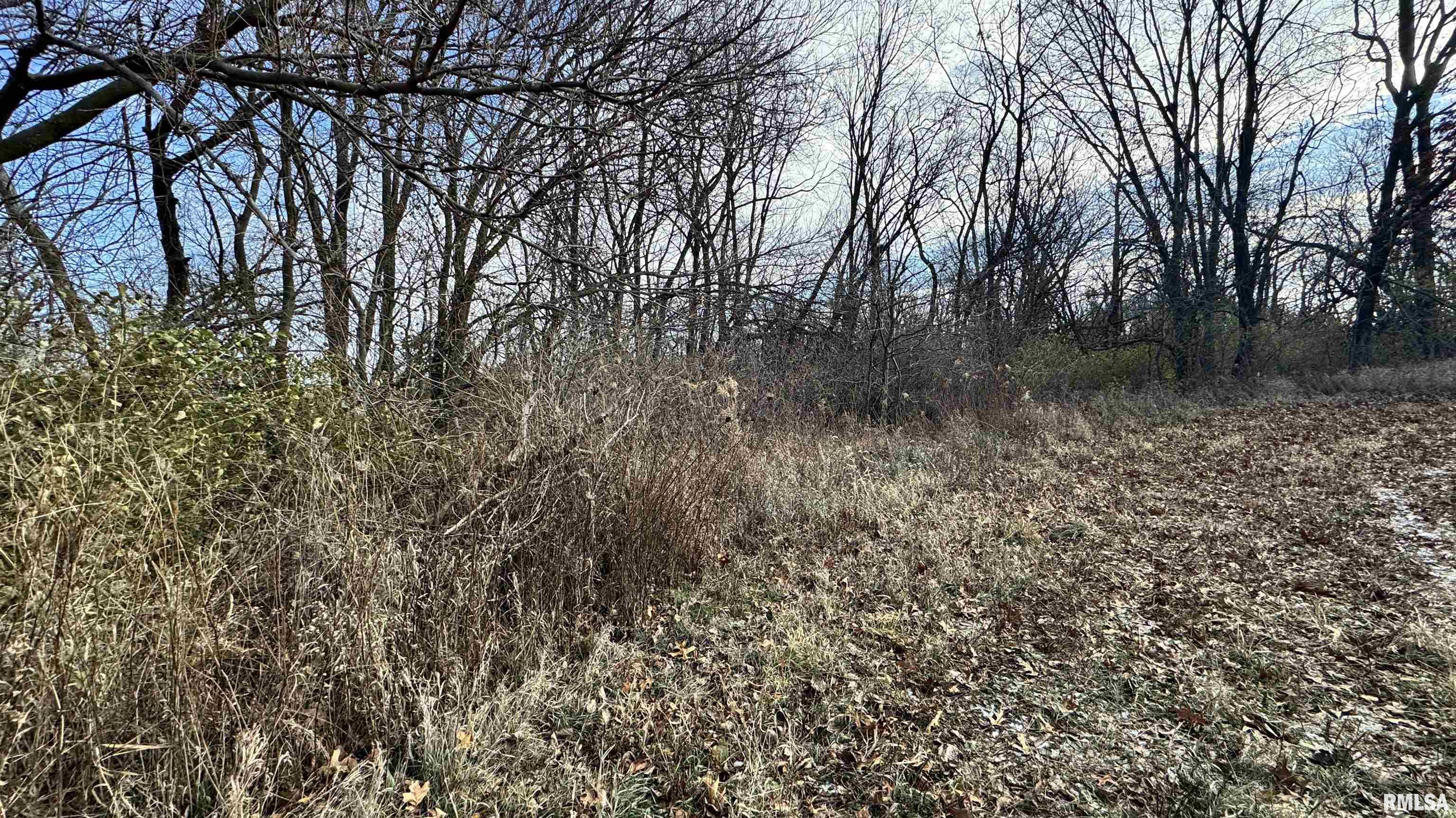 Timber Road Kewanee, IL 61443 - Photo 14 of 27