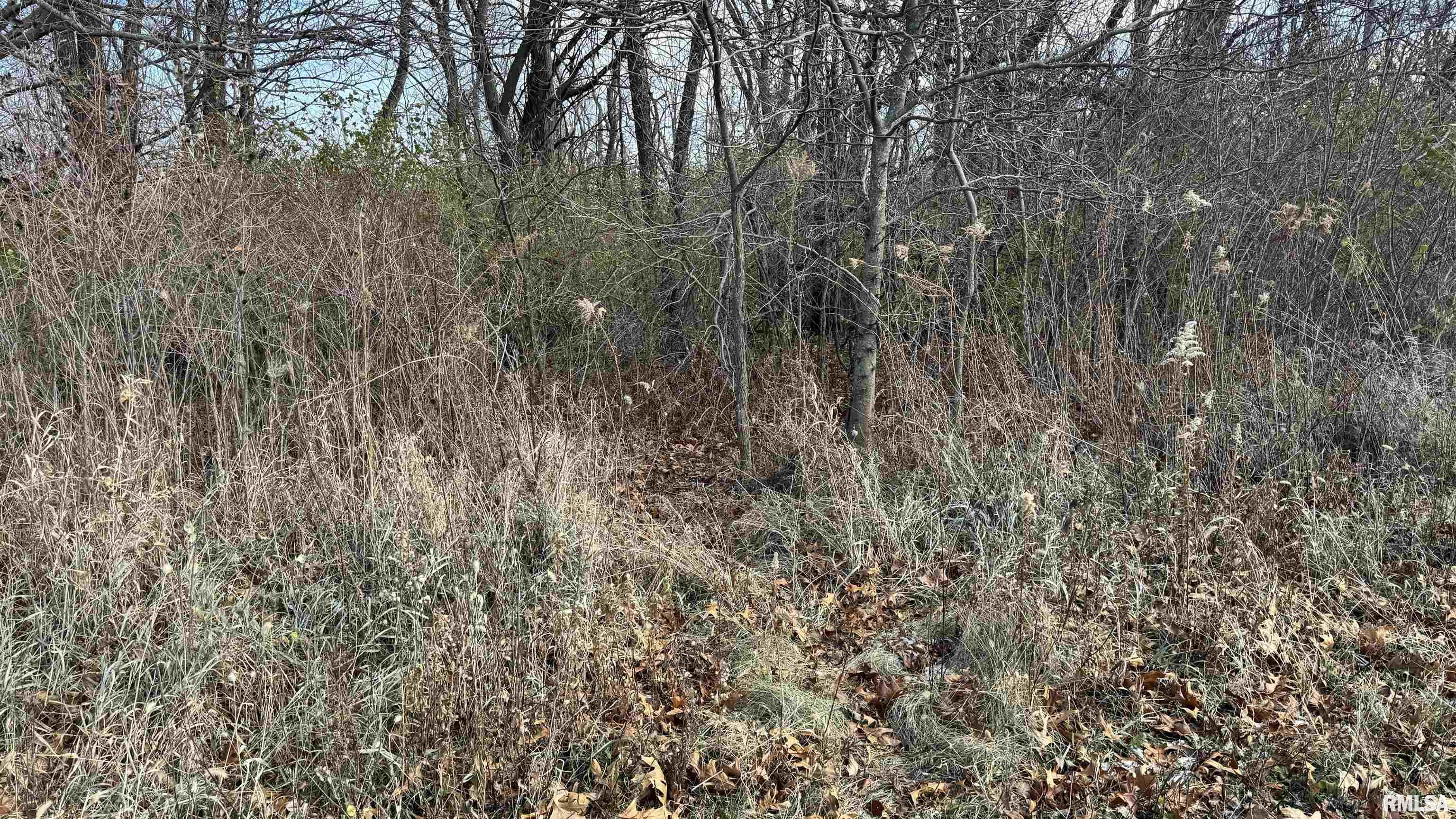 Timber Road Kewanee, IL 61443 - Photo 15 of 27