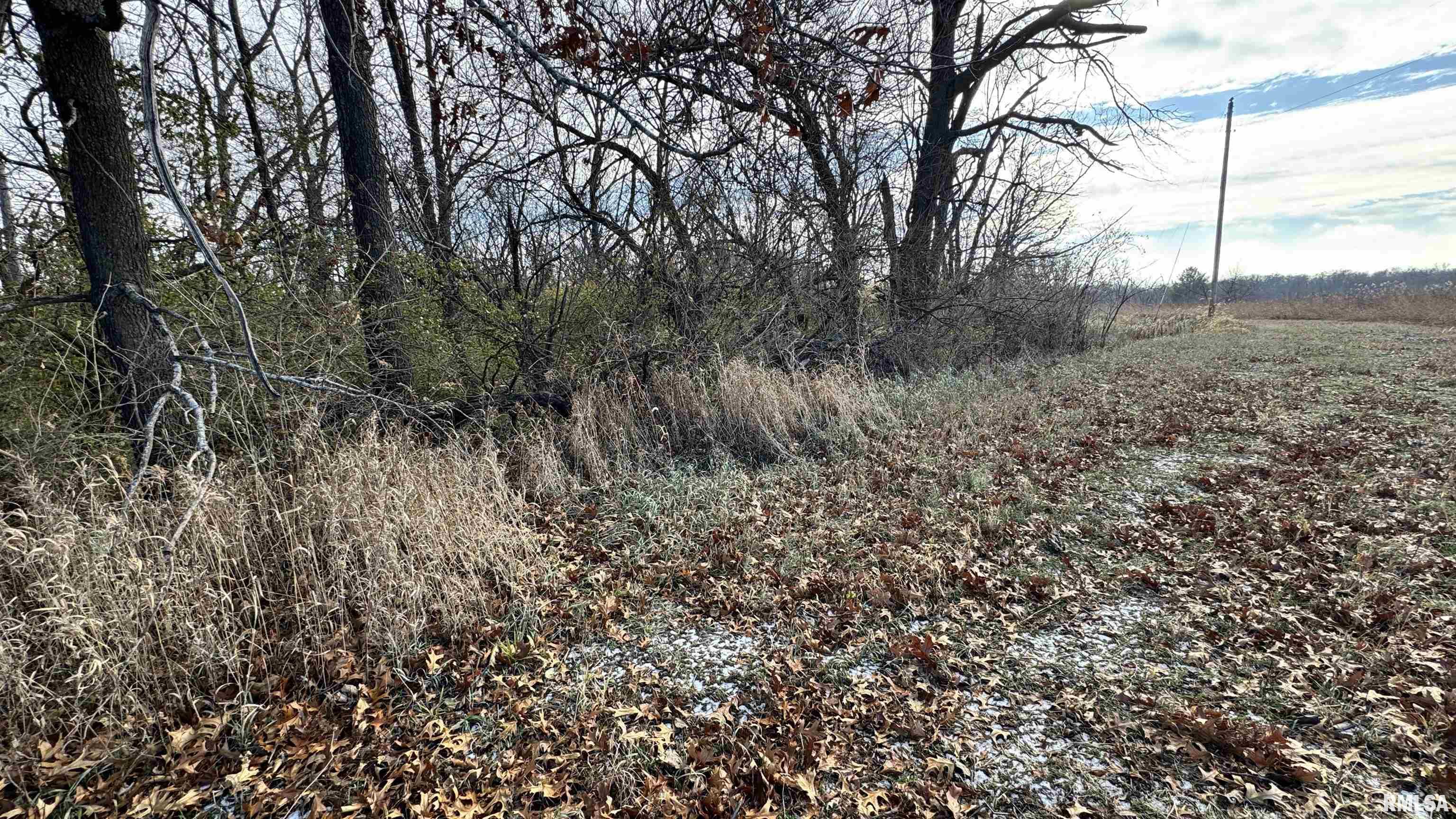 Timber Road Kewanee, IL 61443 - Photo 16 of 27