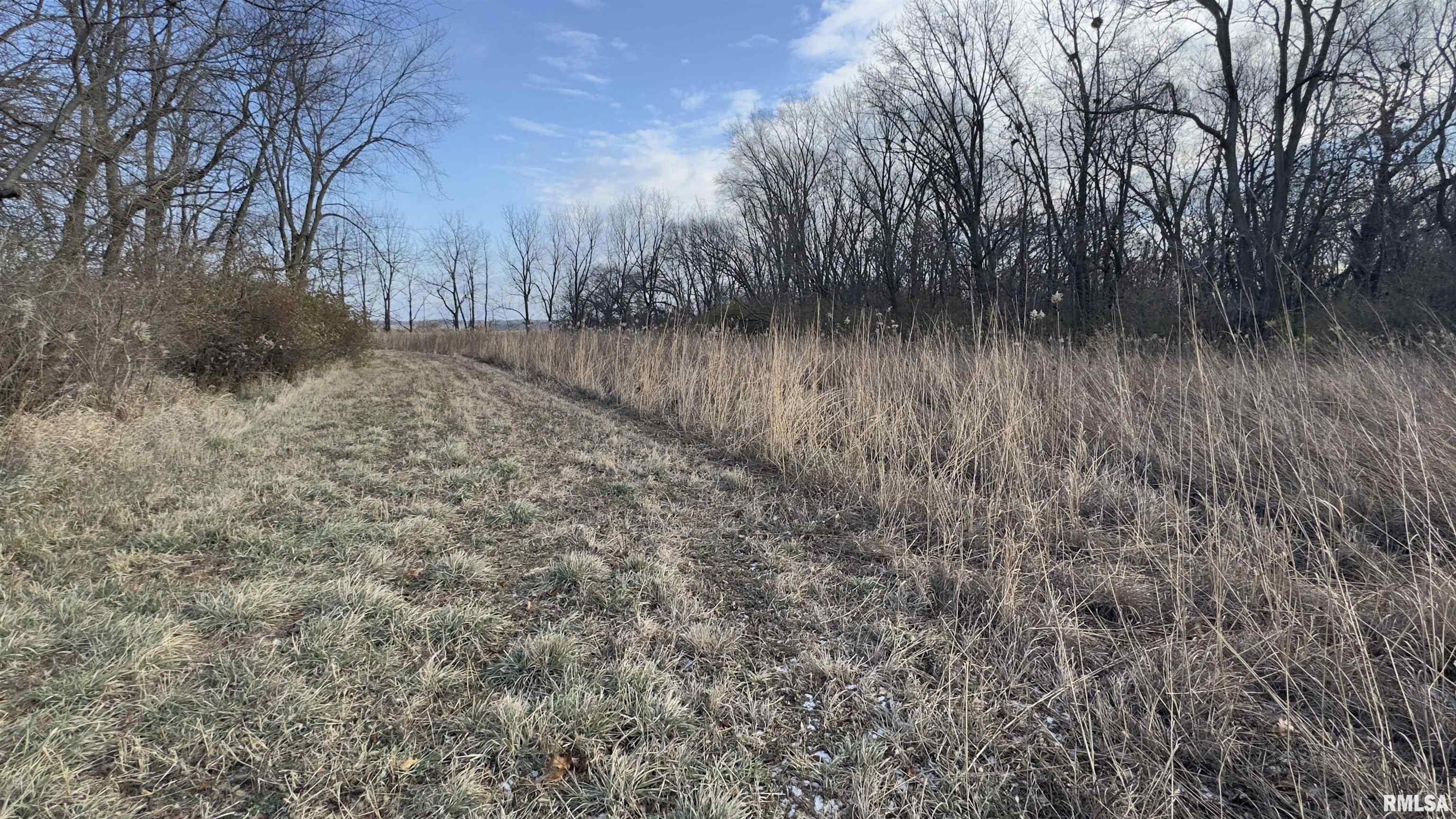 Timber Road Kewanee, IL 61443 - Photo 17 of 27