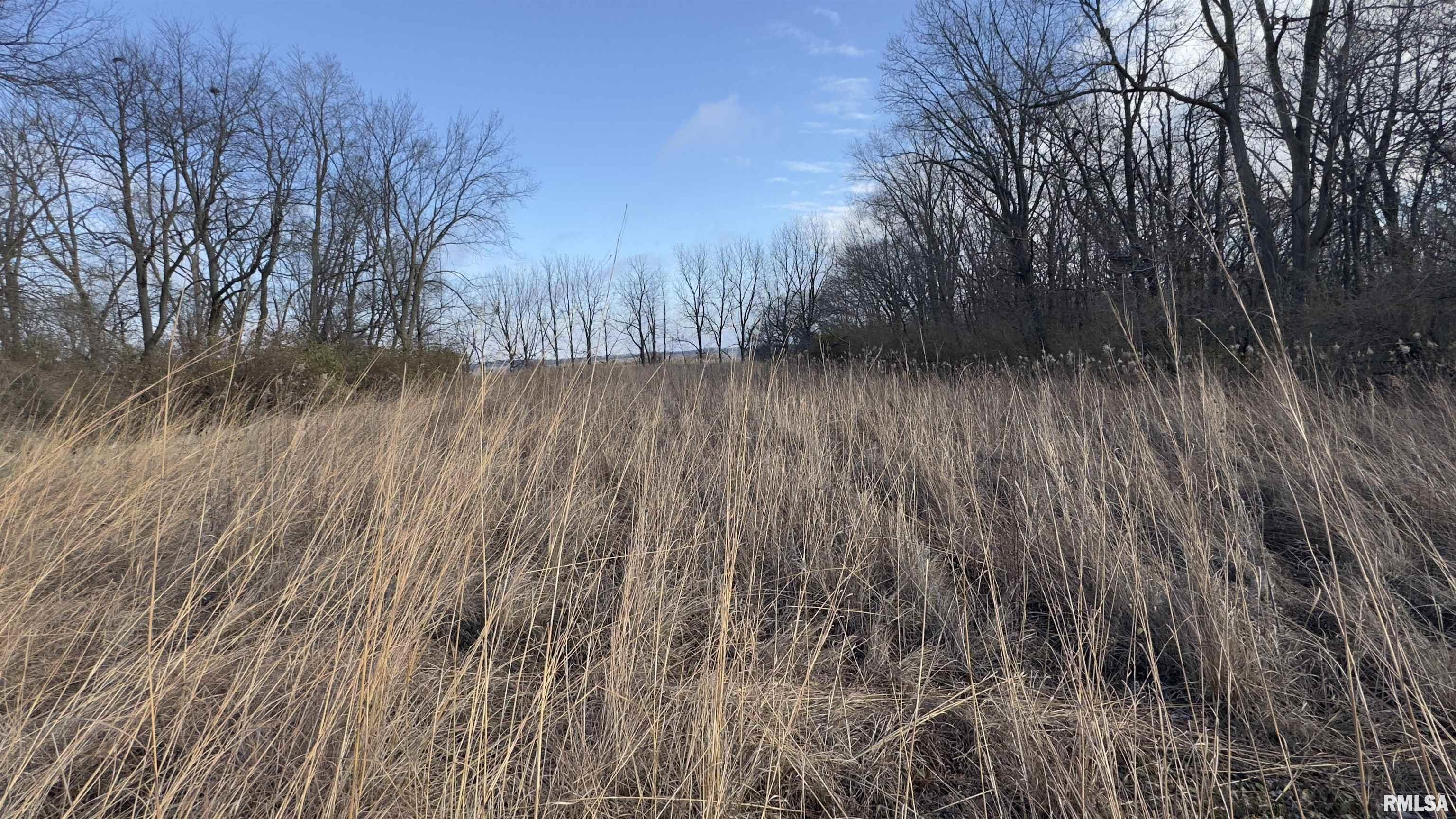 Timber Road Kewanee, IL 61443 - Photo 18 of 27