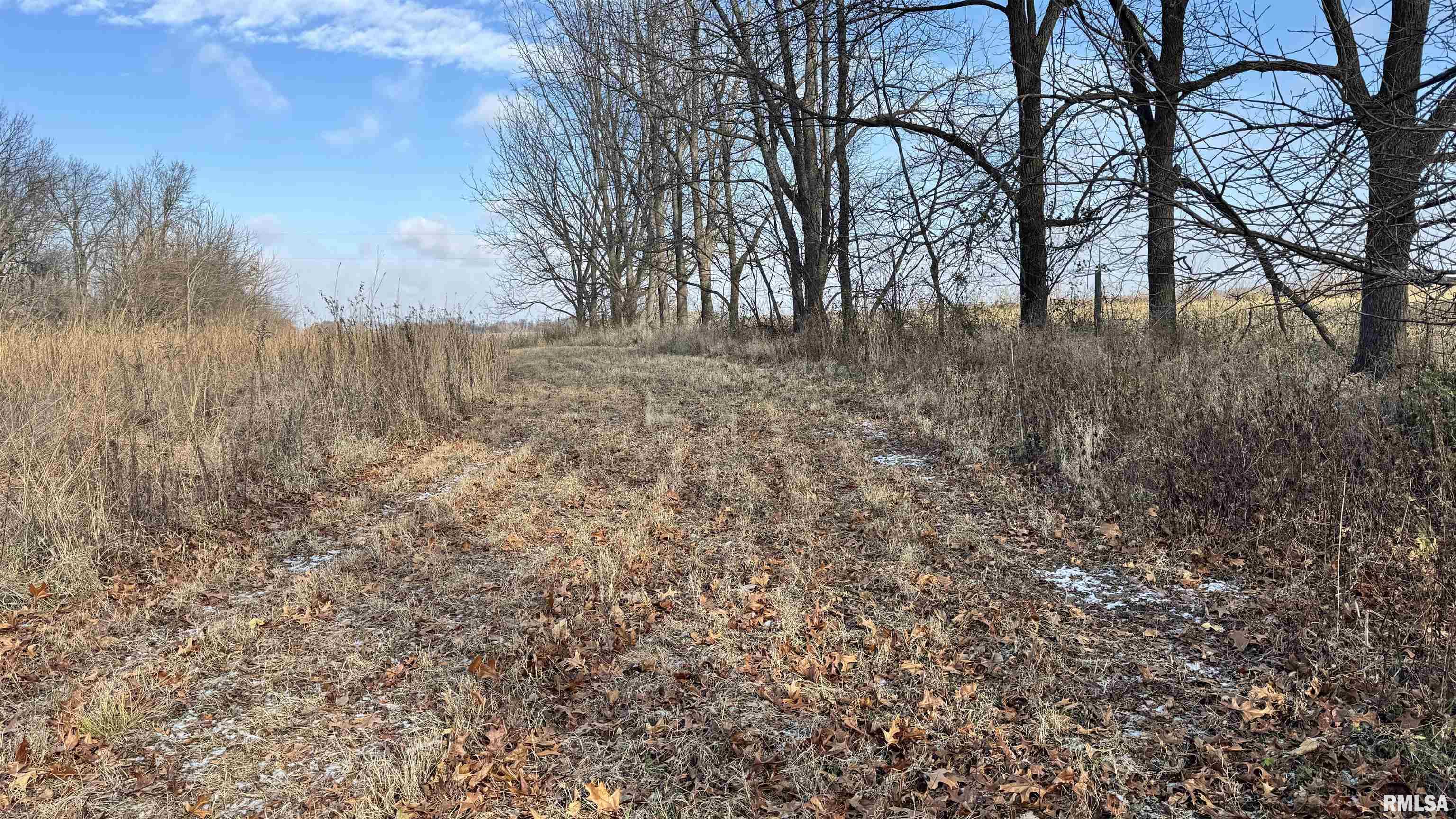 Timber Road Kewanee, IL 61443 - Photo 19 of 27