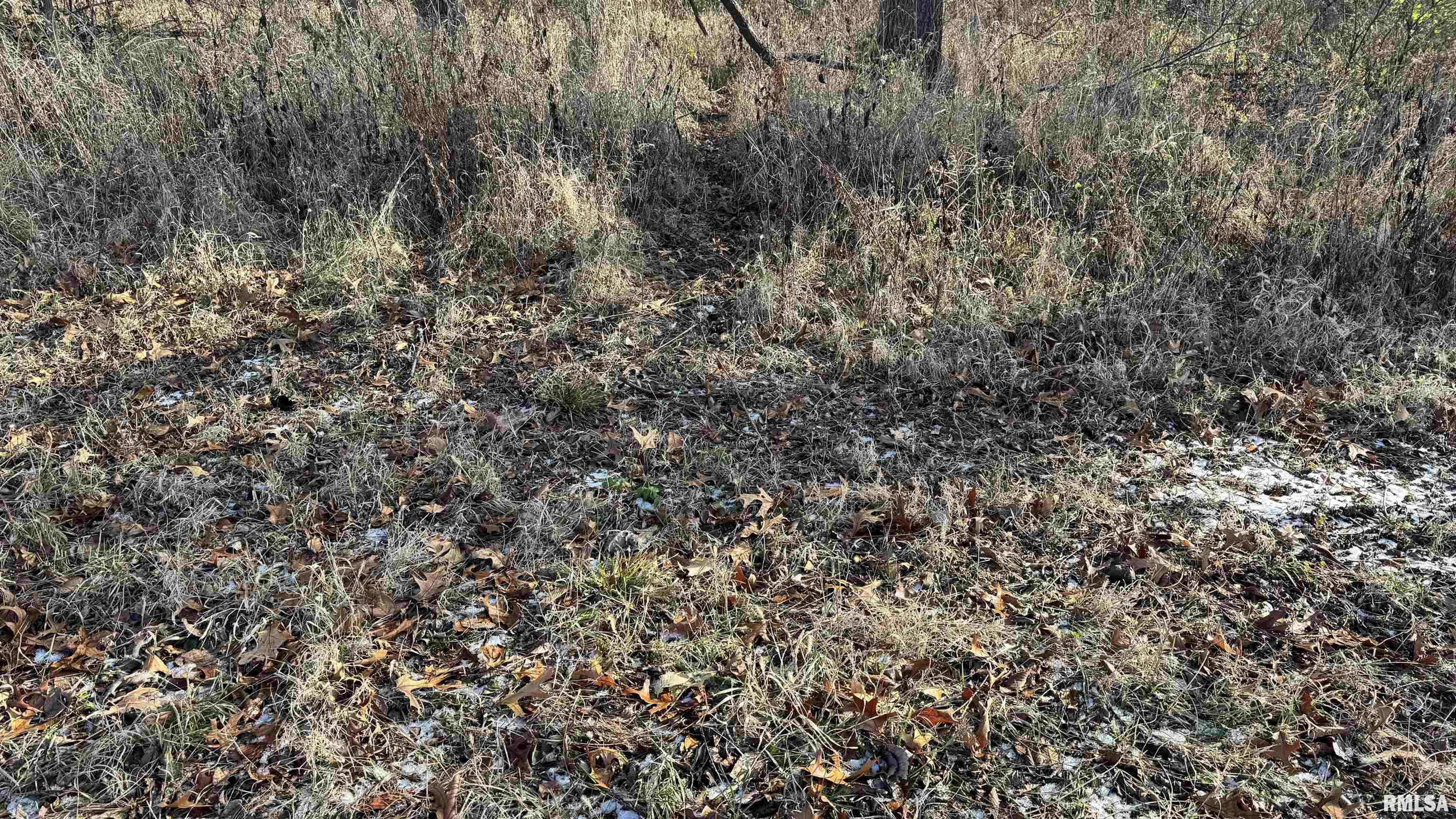 Timber Road Kewanee, IL 61443 - Photo 20 of 27