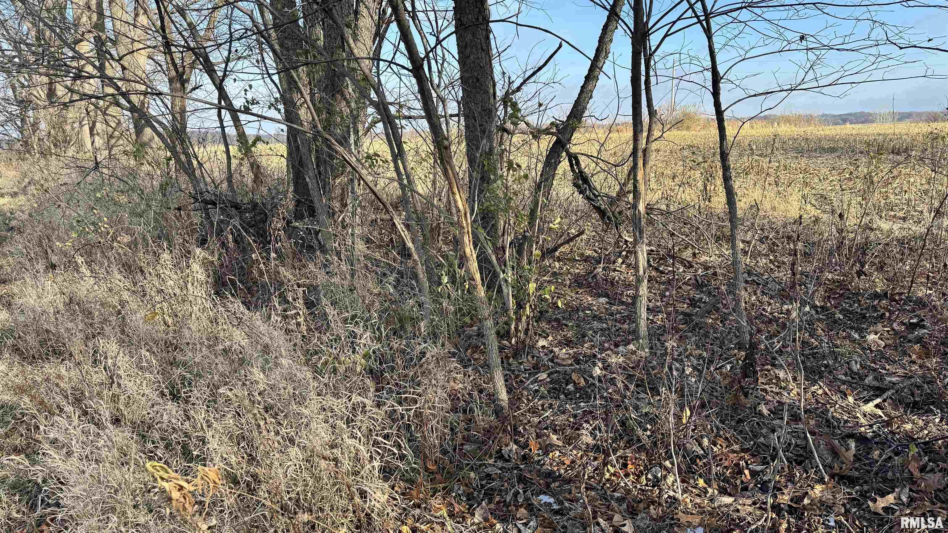 Timber Road Kewanee, IL 61443 - Photo 21 of 27