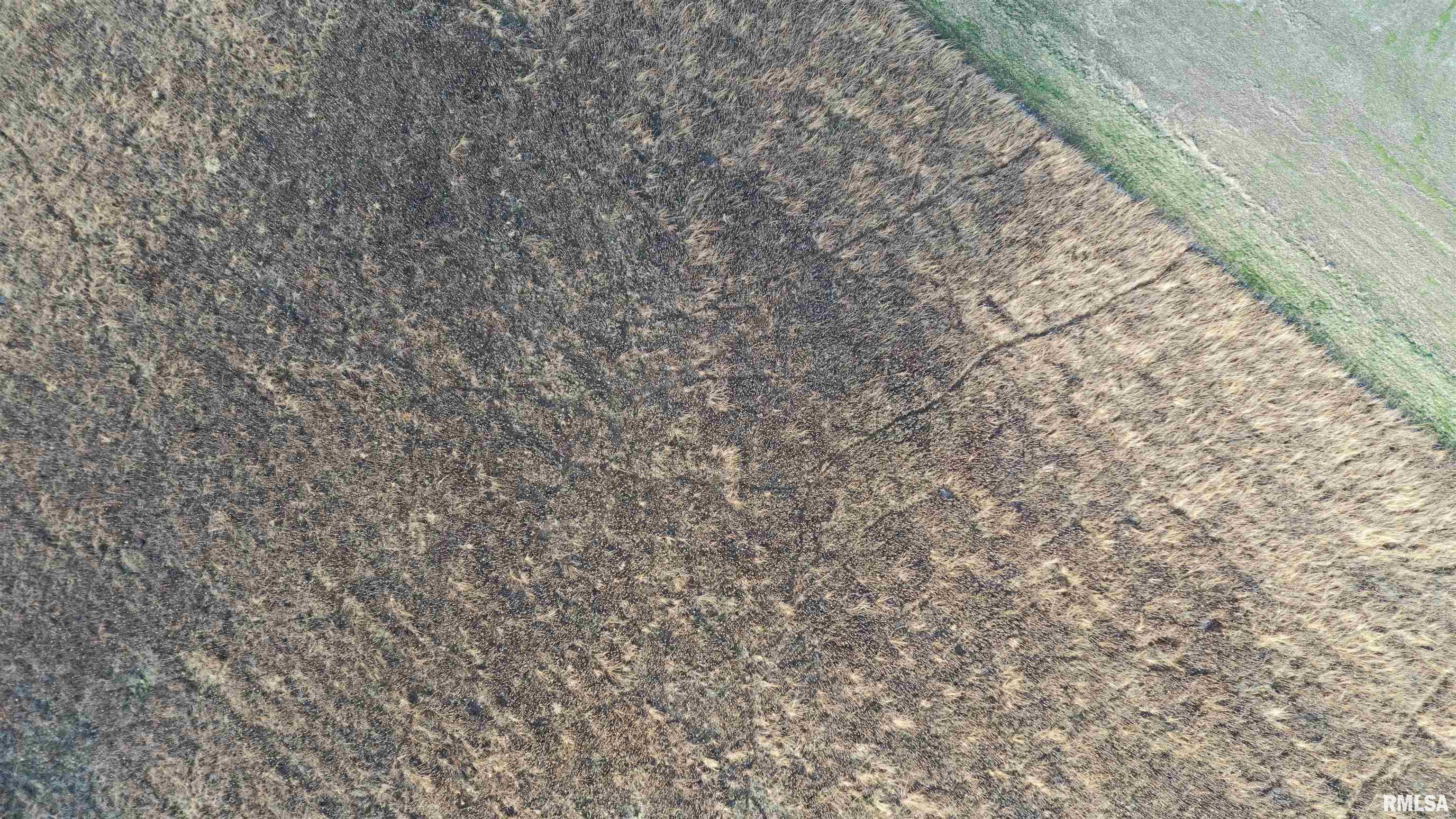 Timber Road Kewanee, IL 61443 - Photo 4 of 27