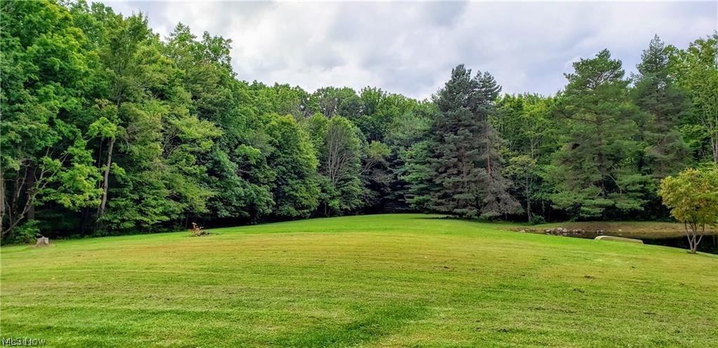 4170 Hamilton Road Medina, OH 44256 - Photo 28 of 32 Acreage and pond