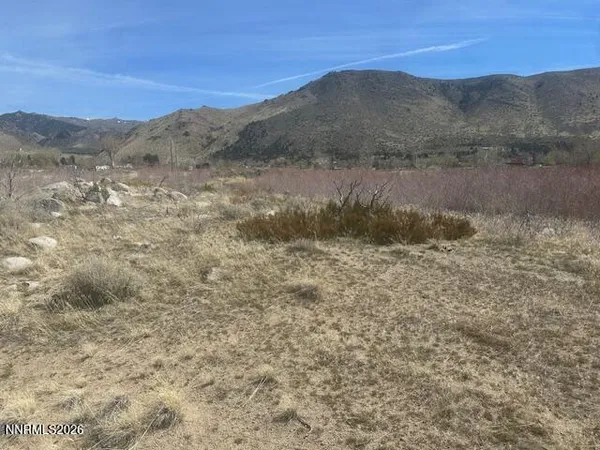 a view of a forest with mountains in the background