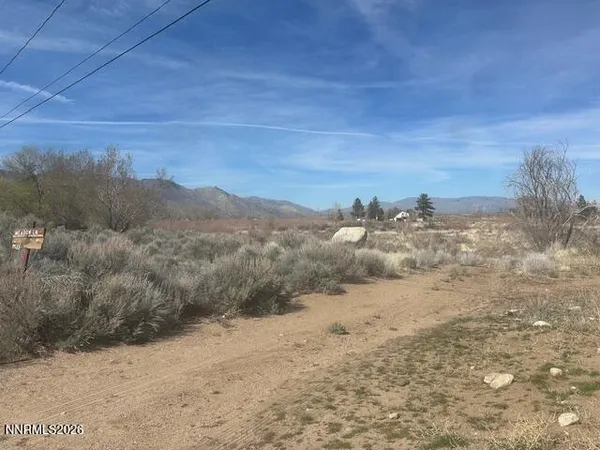 a view of a dry yard with trees
