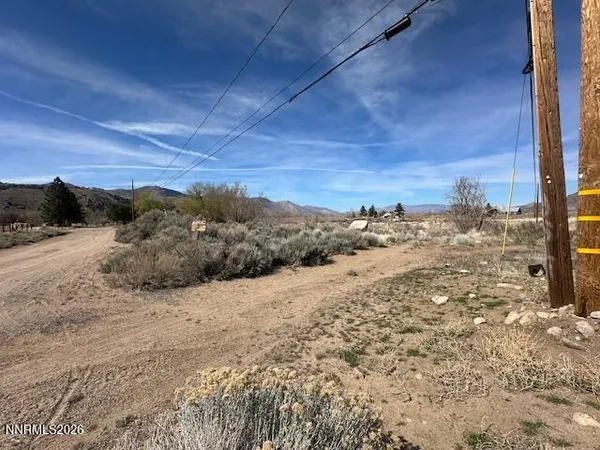 a view of a dry yard