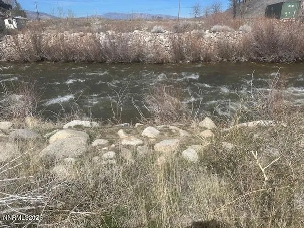 a view of a lake from a yard
