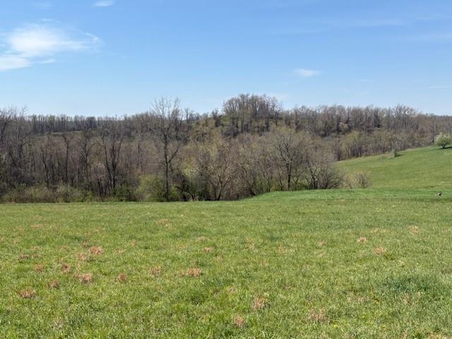 551 Ridge Road Brownsville, PA 15417 - Photo 14 of 33