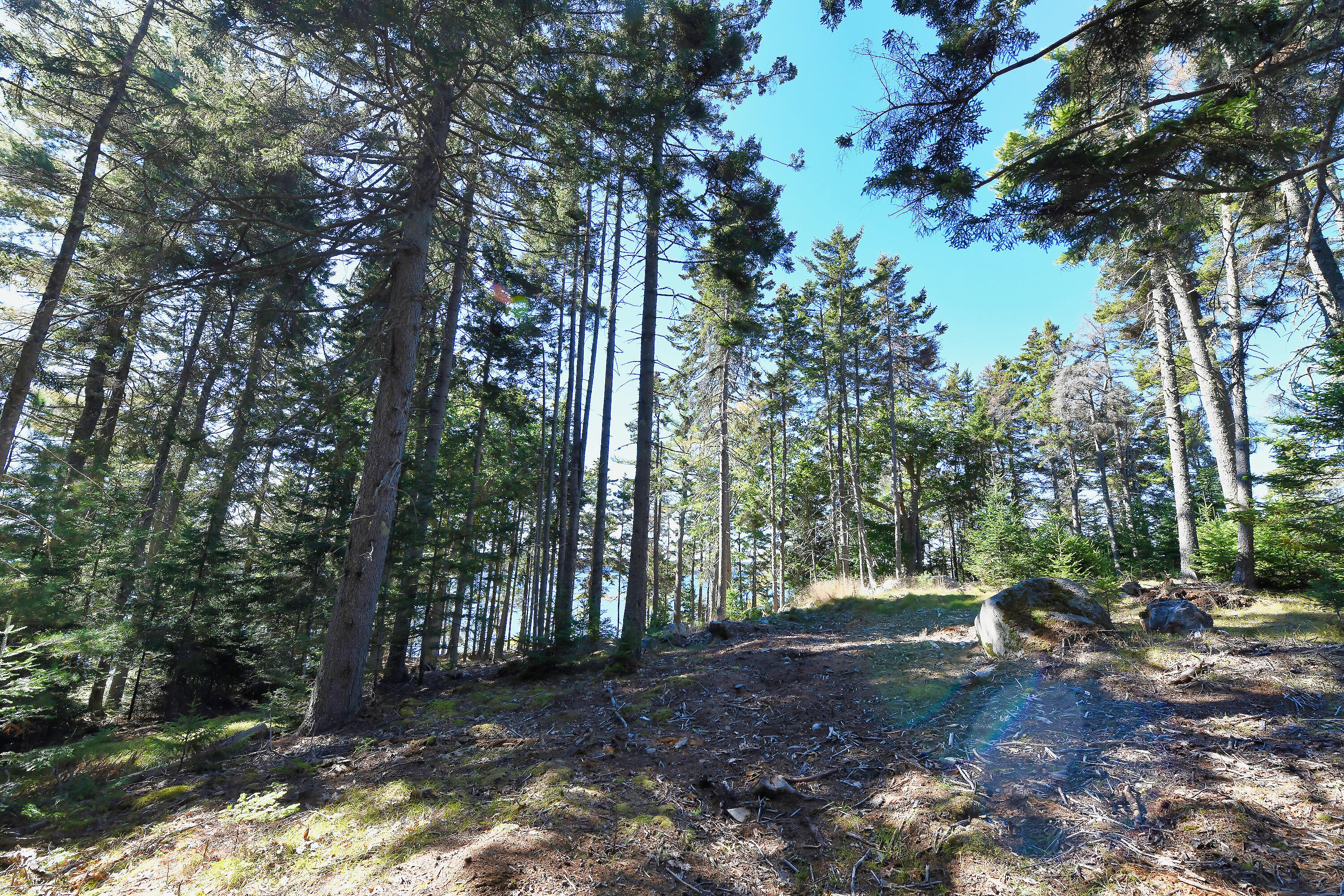 Lot 6 Sunset Road Brooksville, ME 04617 - Photo 34 of 35